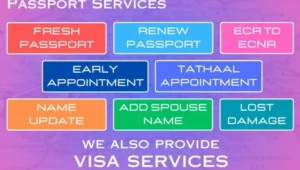 Decoding the Status: Your Application is Under Review at Regional Passport Office 9968875644